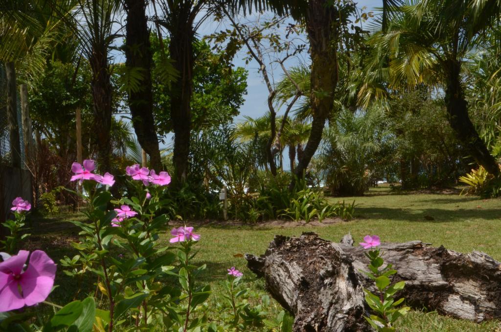 Pousada Tortuga Hotel Barra Grande  Eksteriør billede