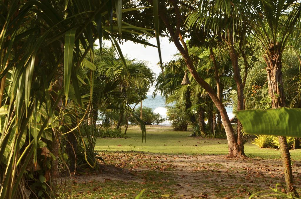 Pousada Tortuga Hotel Barra Grande  Eksteriør billede